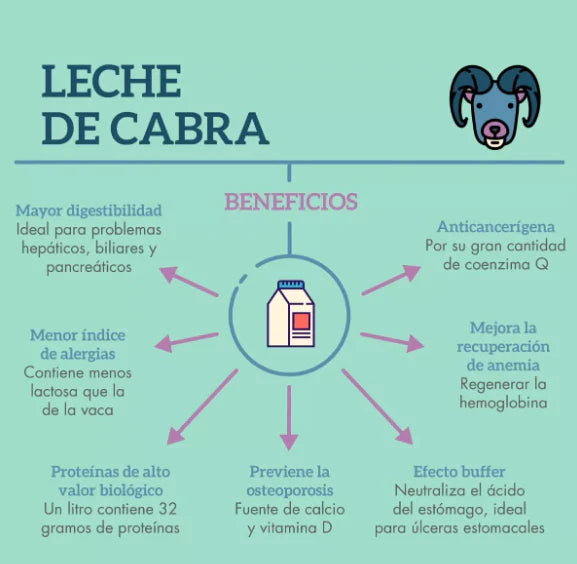 LECHE DE CABRA DAGOAT - 400GRS