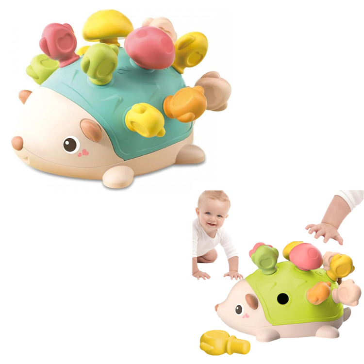 Erizo Sensorial Montensori