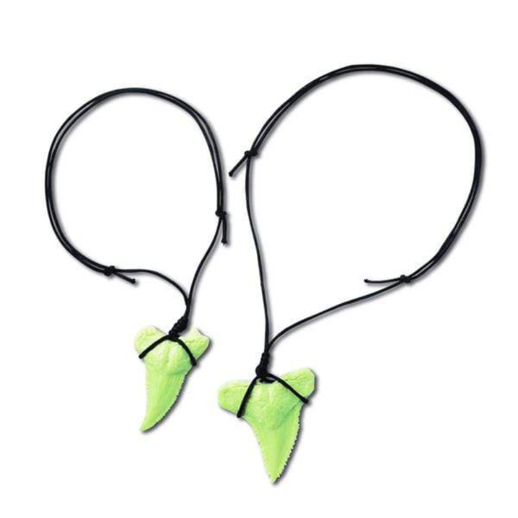 Excava Dientes de Tiburon