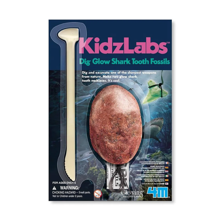 Excava Dientes de Tiburon